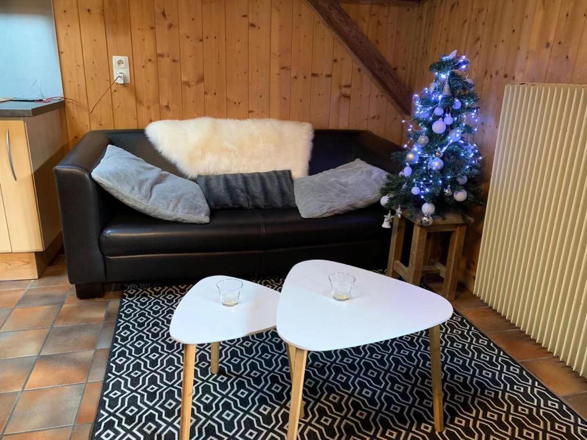 La Jolie Bergere Villa Morzine Kültér fotó